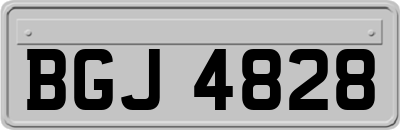 BGJ4828