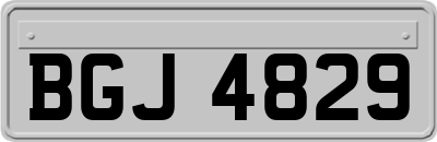 BGJ4829