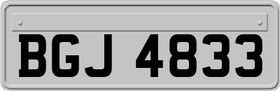 BGJ4833