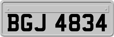 BGJ4834