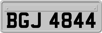 BGJ4844