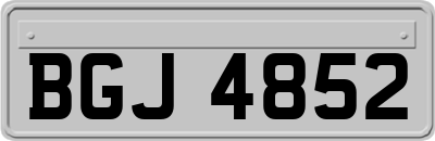 BGJ4852