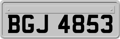 BGJ4853
