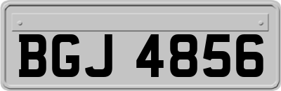 BGJ4856