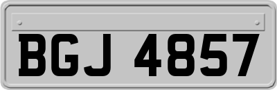 BGJ4857