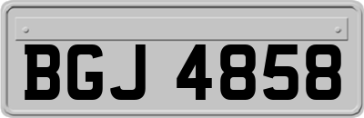 BGJ4858