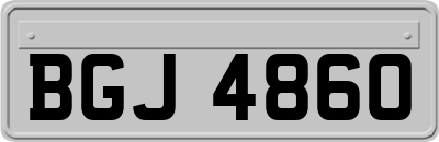 BGJ4860