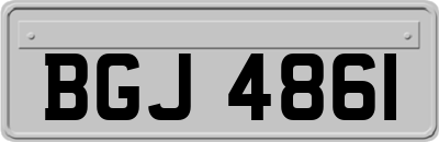 BGJ4861