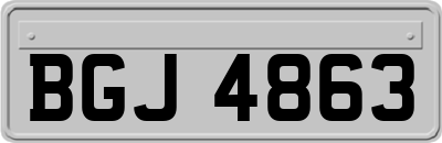 BGJ4863