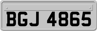 BGJ4865