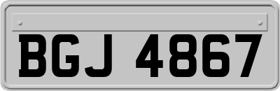 BGJ4867