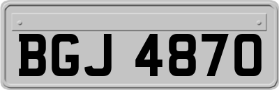 BGJ4870