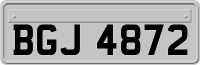 BGJ4872