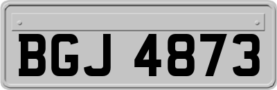 BGJ4873