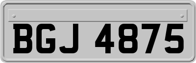 BGJ4875