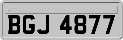 BGJ4877