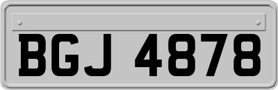 BGJ4878
