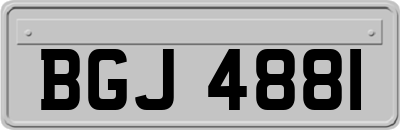 BGJ4881