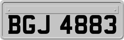 BGJ4883
