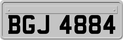 BGJ4884