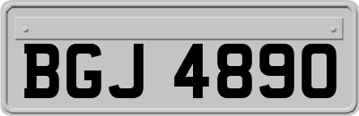 BGJ4890