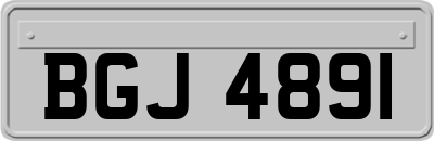 BGJ4891