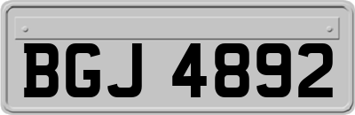 BGJ4892