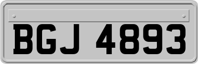BGJ4893
