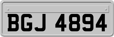BGJ4894