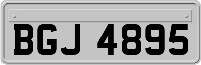 BGJ4895