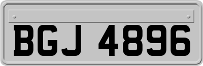 BGJ4896