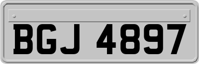 BGJ4897