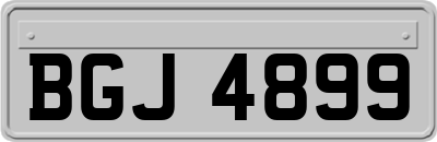 BGJ4899