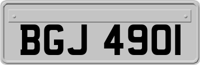 BGJ4901