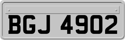 BGJ4902