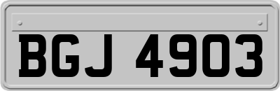 BGJ4903