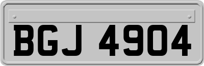 BGJ4904