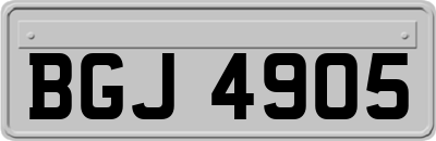 BGJ4905