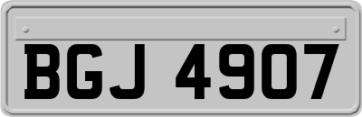 BGJ4907