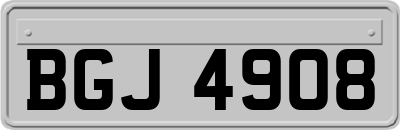 BGJ4908