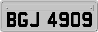 BGJ4909
