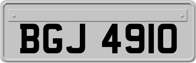 BGJ4910