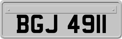 BGJ4911