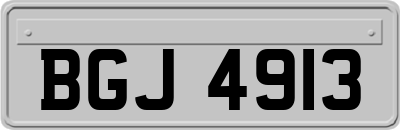 BGJ4913