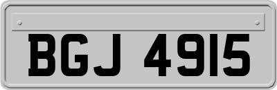 BGJ4915