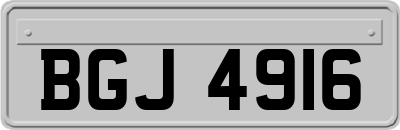 BGJ4916
