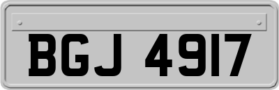 BGJ4917