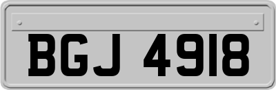 BGJ4918