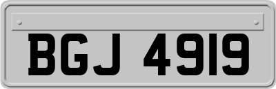 BGJ4919