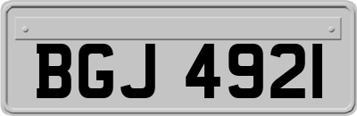 BGJ4921